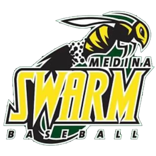 Medina Swarm Baseball Logo