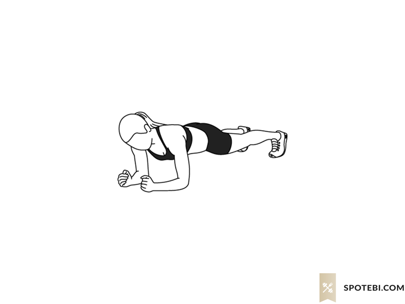 Plank Hold